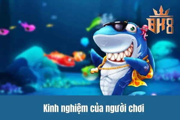 Kinh nghiệm của người chơi